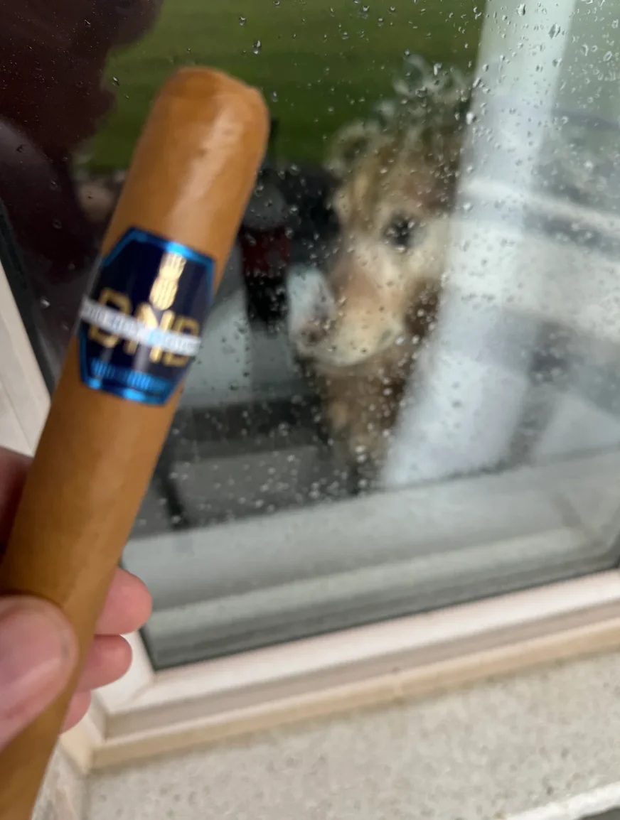 Dallas the golden retriever watching from inside through a rain-streaked glass door while the Do Not Disturb burns