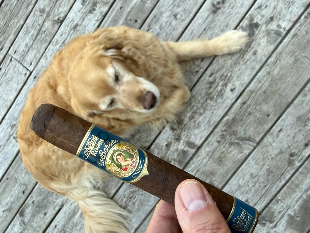 Dallas the golden retriever on the porch beside the La Boheme Poeta