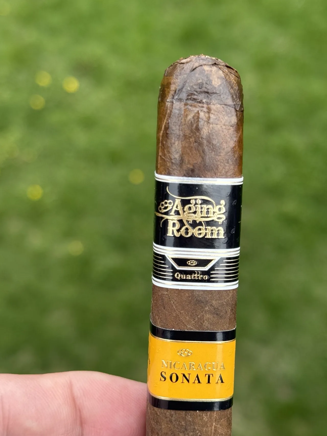 Aging Room Quattro Nicaragua Sonata Maestro 6&times;52 held up close on the porch, black Aging Room band and yellow Nicaragua Sonata band in view