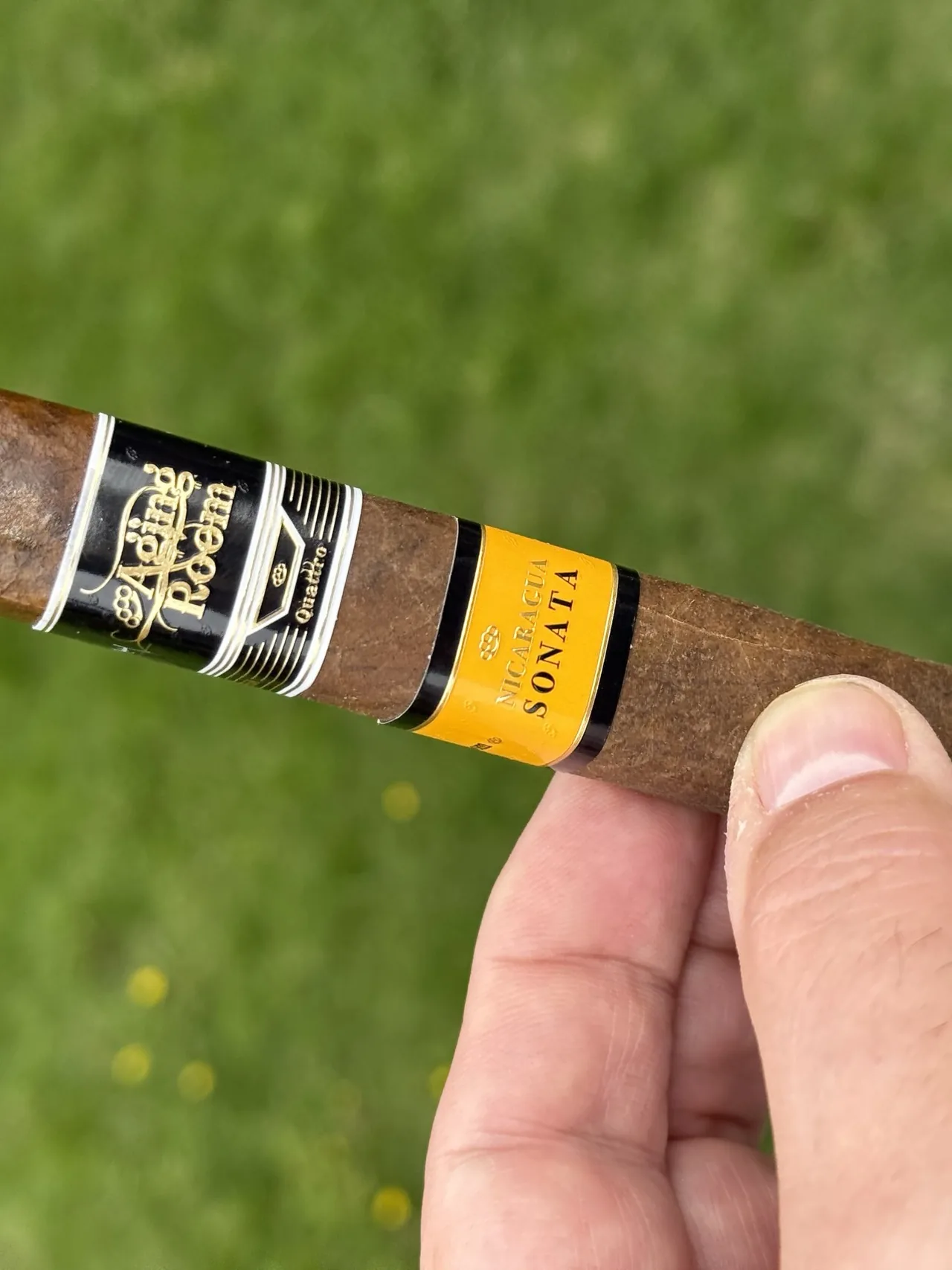 Unlit Aging Room Quattro Nicaragua Sonata Maestro box-pressed Torpedo in hand over the lawn