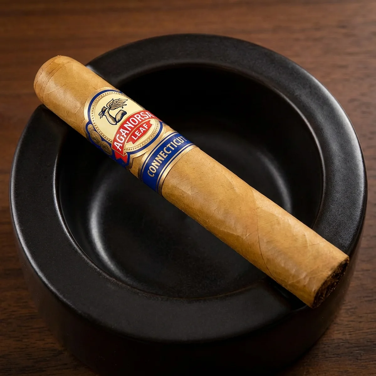 Aganorsa Leaf La Validación Connecticut Gran Toro resting in a cigar ashtray, unlit
