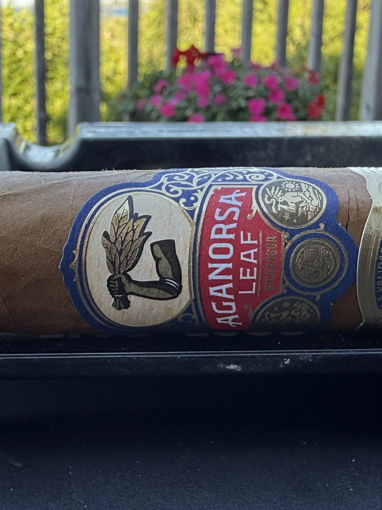 Aganorsa Leaf La Validación Connecticut Gran Toro resting on an ashtray with flowers in the background