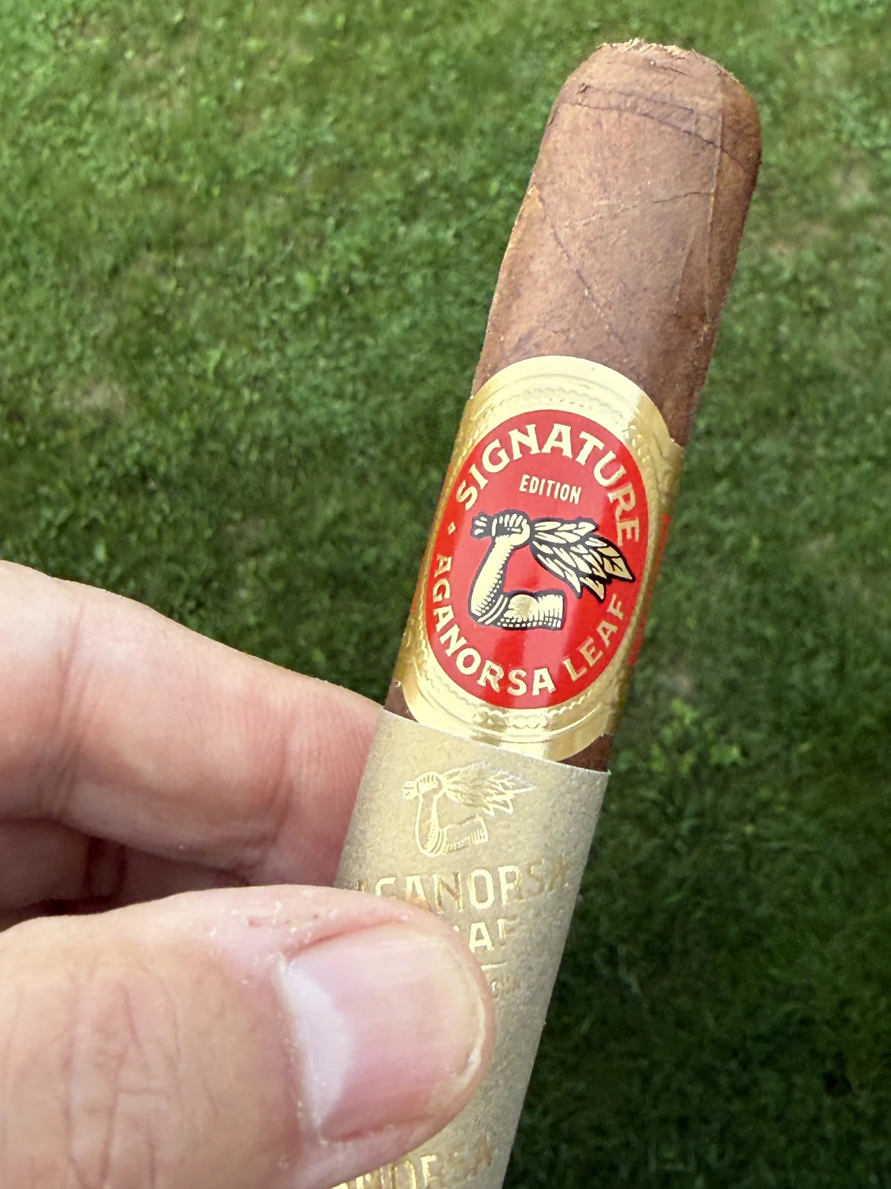 Aganorsa Leaf Signature Selection Corojo Toro band detail, Signature Edition band over the gold foot sleeve