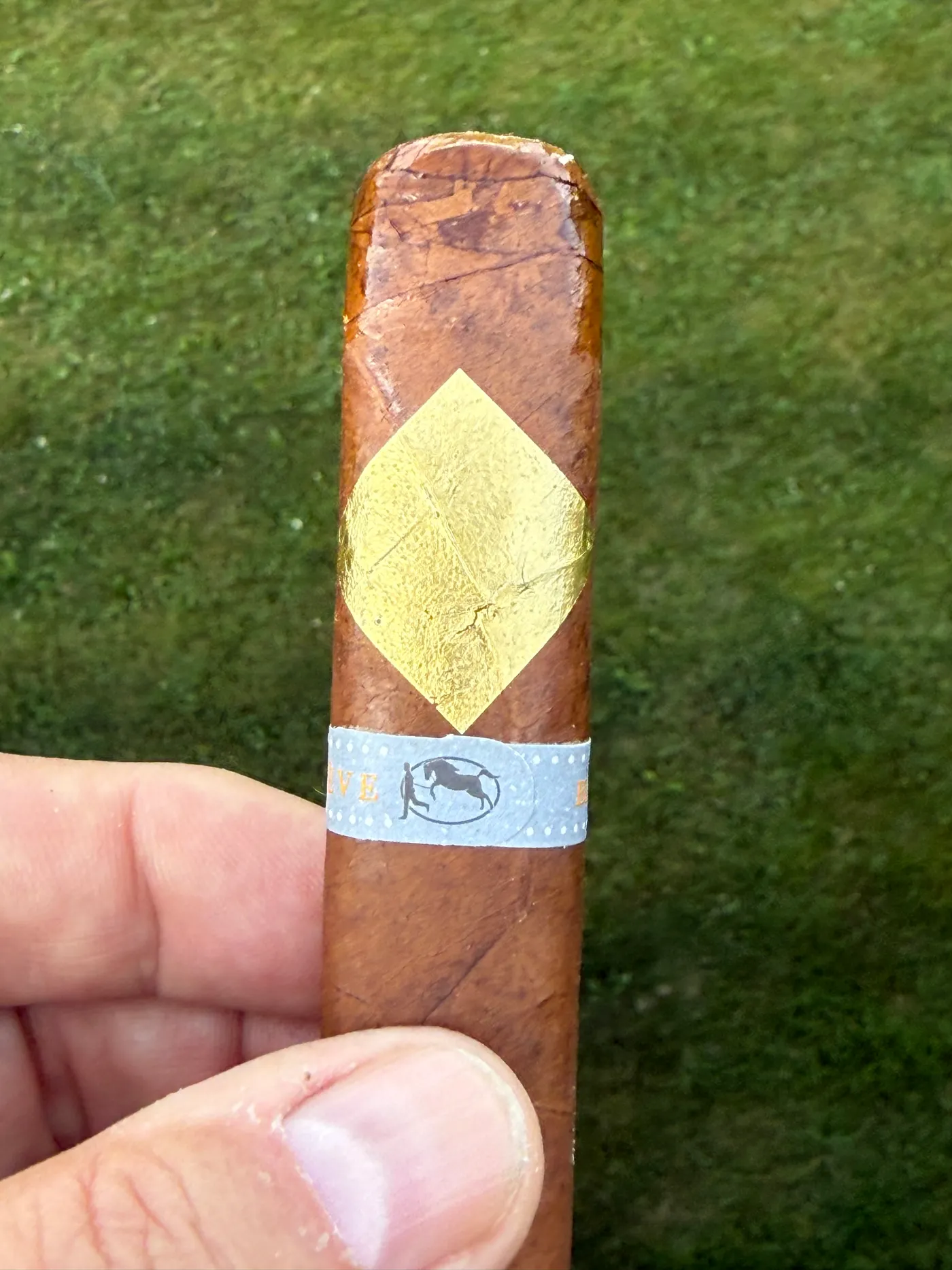 Cavalier Geneve BII Viso Jalapa Robusto held up before lighting, 24k gold diamond and grey band in the sun