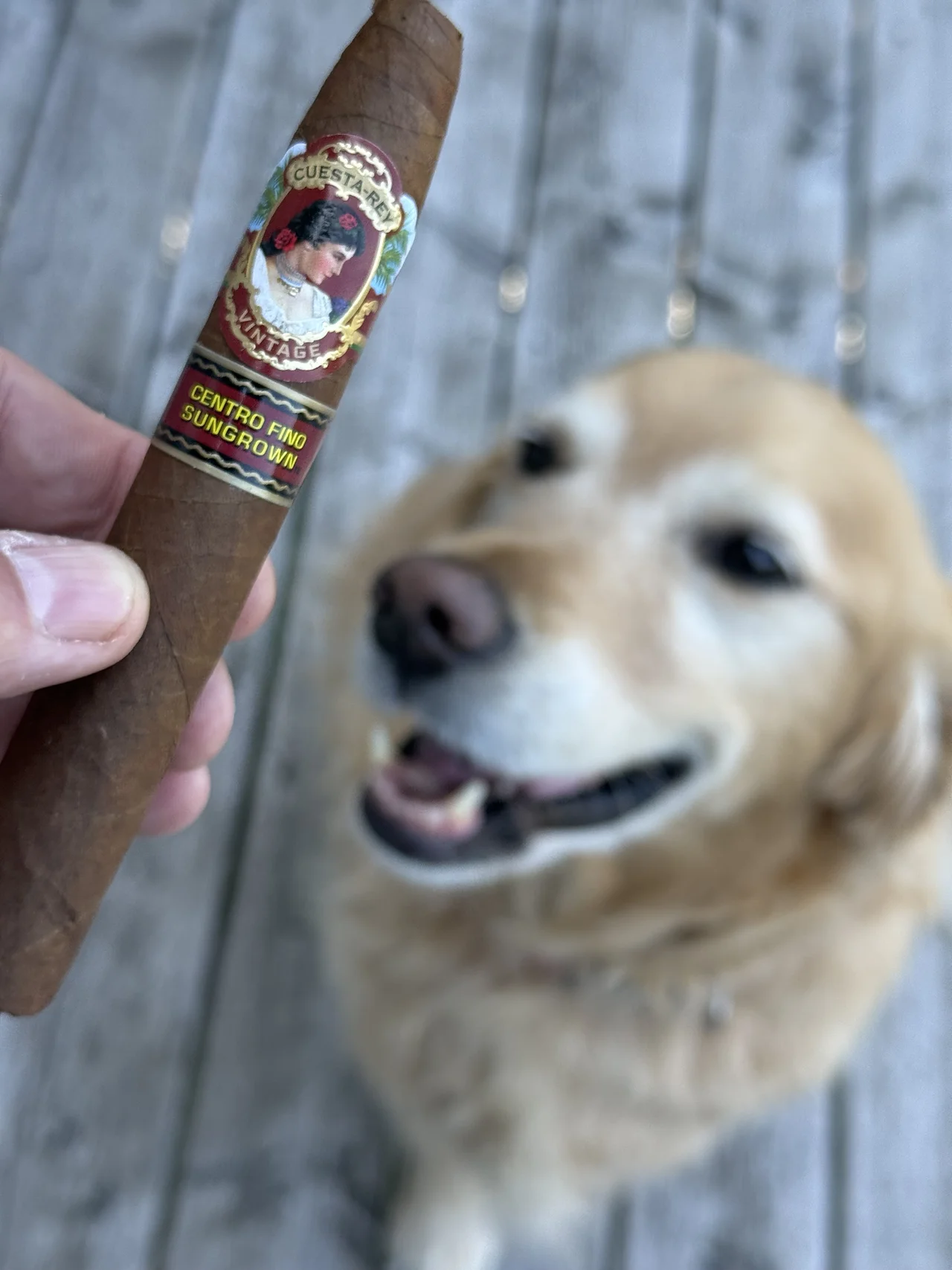Norm Farrar holding the Cuesta-Rey Centro Fino Sungrown Pyramid No. 9 on the porch with his dog