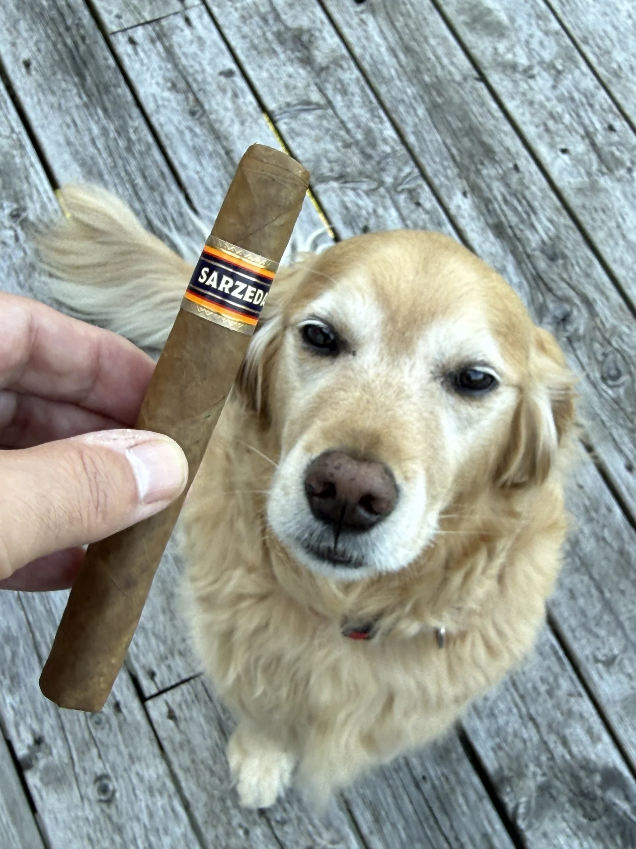 J.C. Newman Sarzedas Toro with Norm Farrar's dog Dallas on the porch
