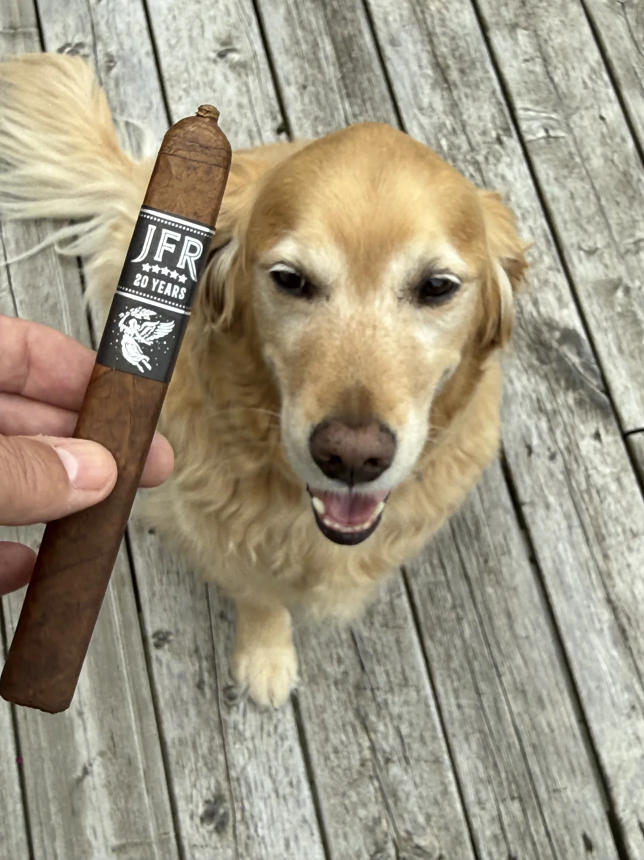Norm Farrar holding the JFR 20th Anniversary Maduro Titan with his dog Dallas on the porch
