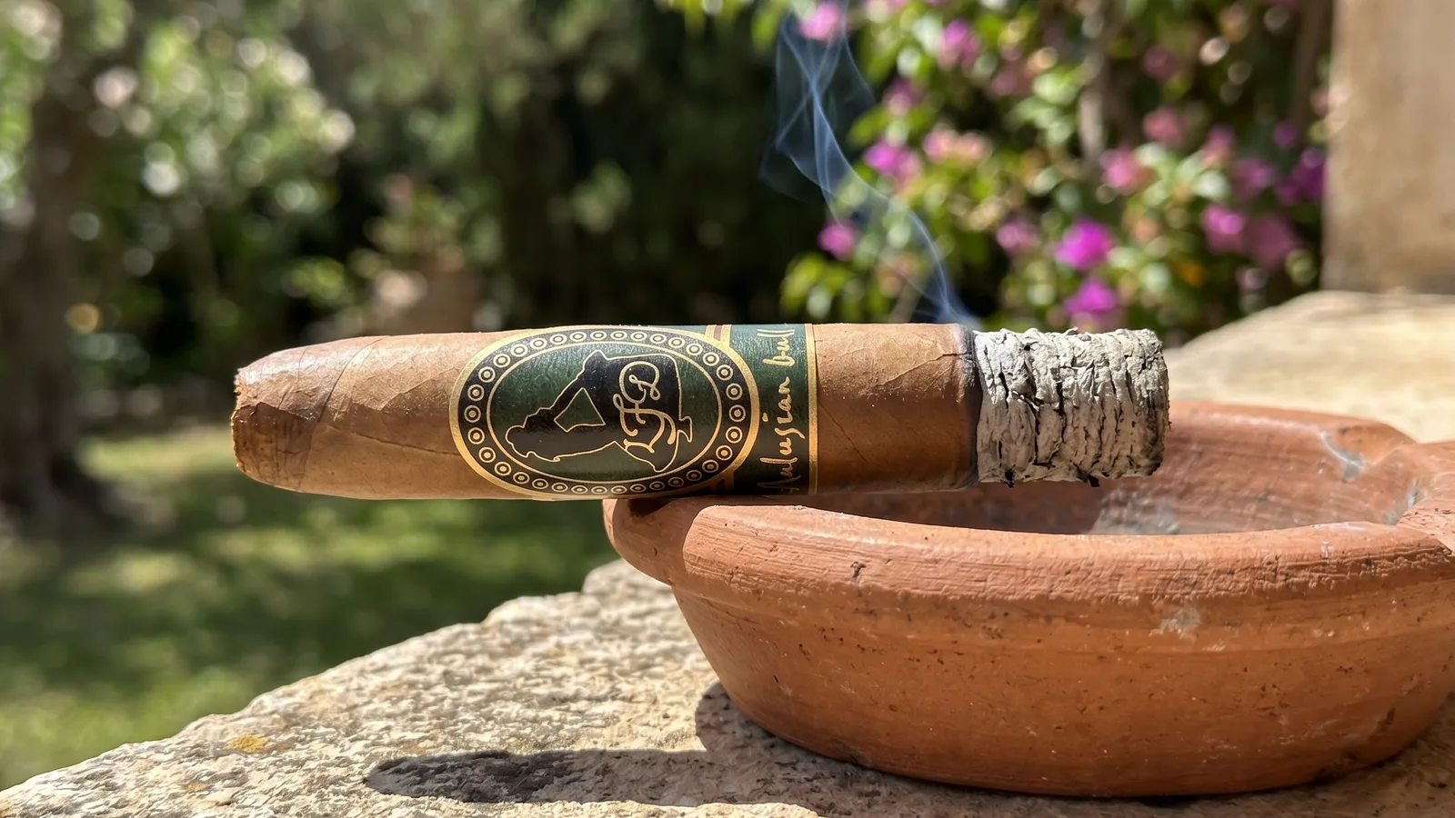 La Flor Dominicana Andalusian Bull resting on a terracotta ashtray with a long gray ash
