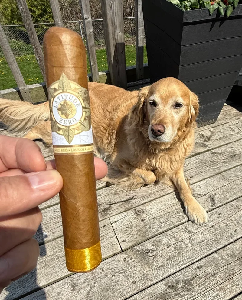 Dallas the golden retriever on the deck beside the Latitude Zero Los Rios gordo