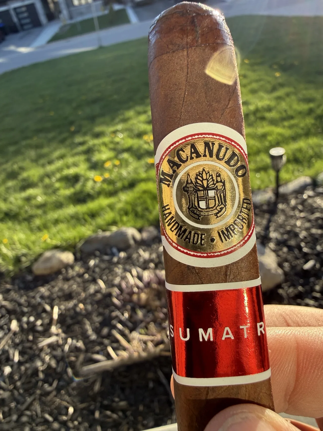Macanudo Sumatra Gigante 6&times;60 box-press held up on the porch, gold Macanudo band and red Sumatra band in view