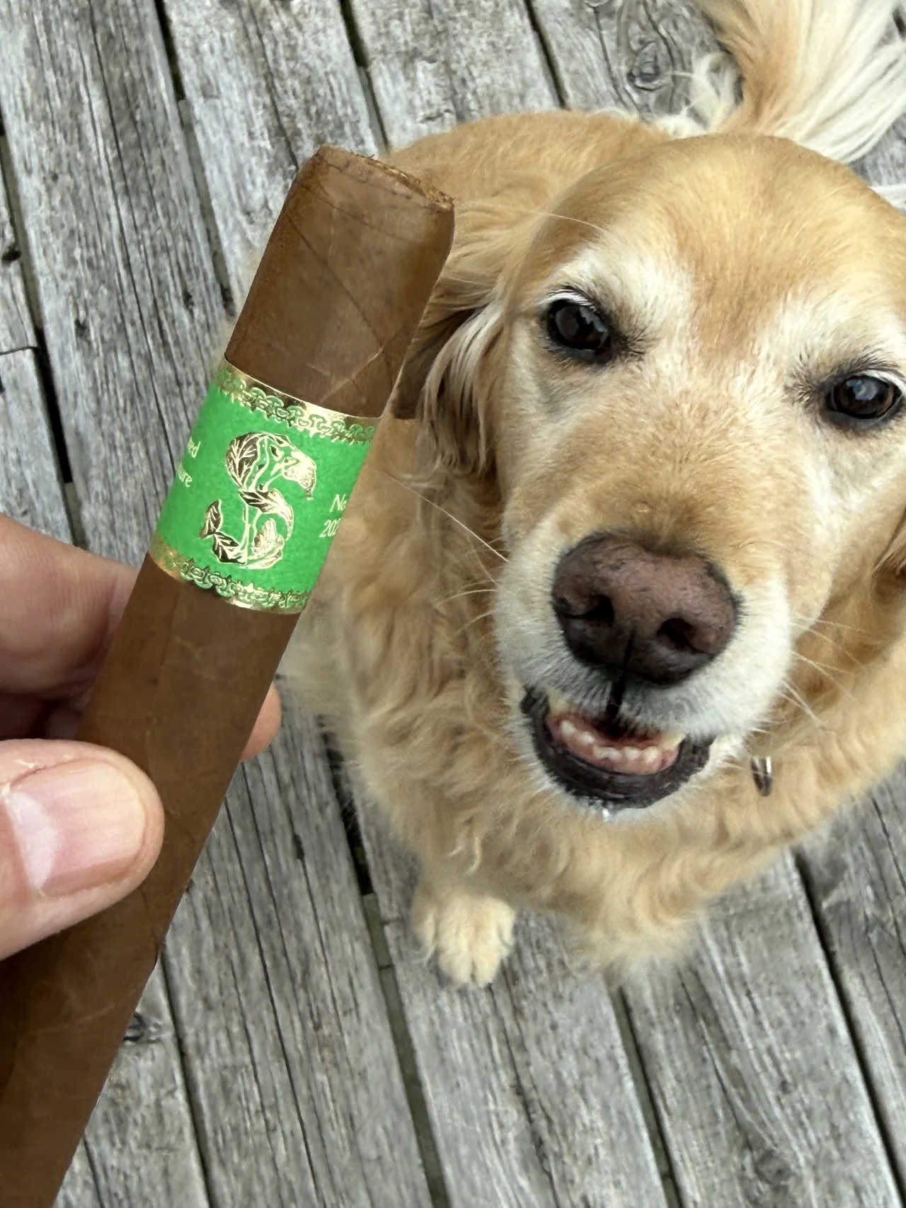 Norm Farrar holding the Matilde Limited Exposure No. 3 with his dog Dallas on the porch