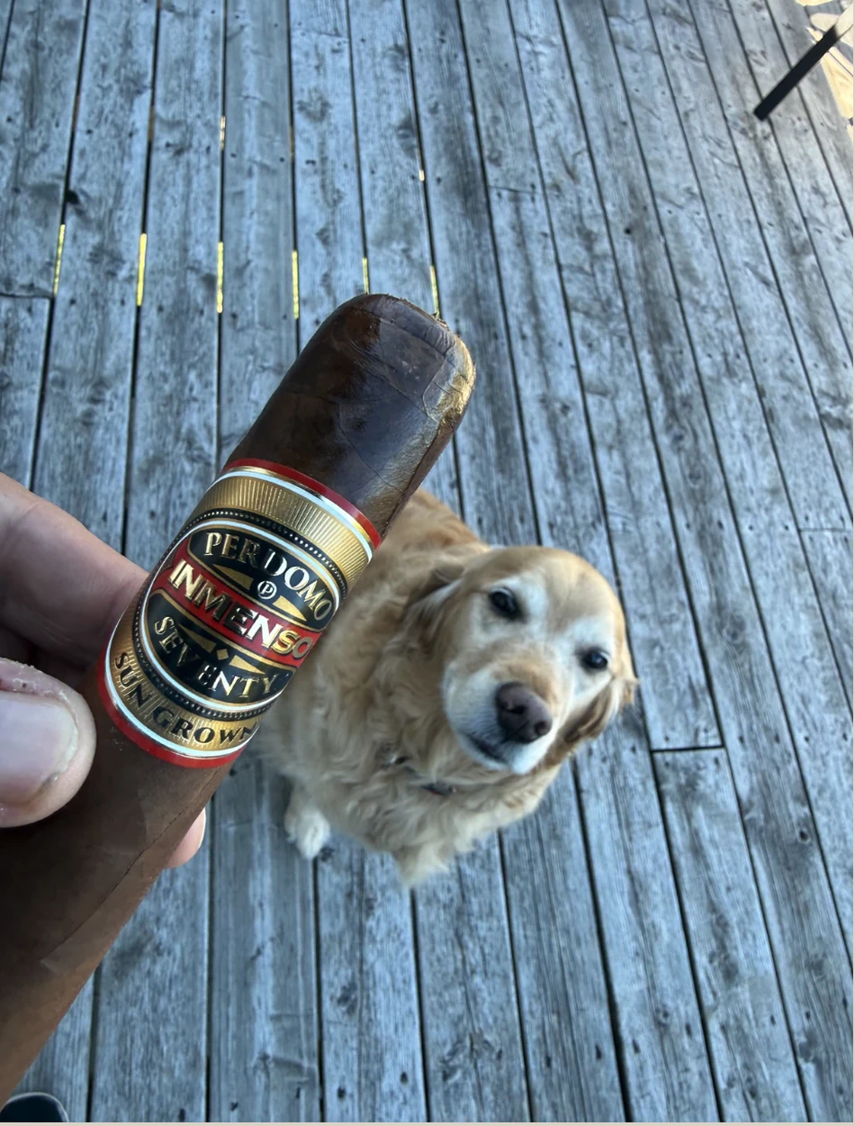 Dallas the golden retriever on the porch beside the PERDOMO INMENSO SEVENTY SUN GROWN EPICURE 6×70