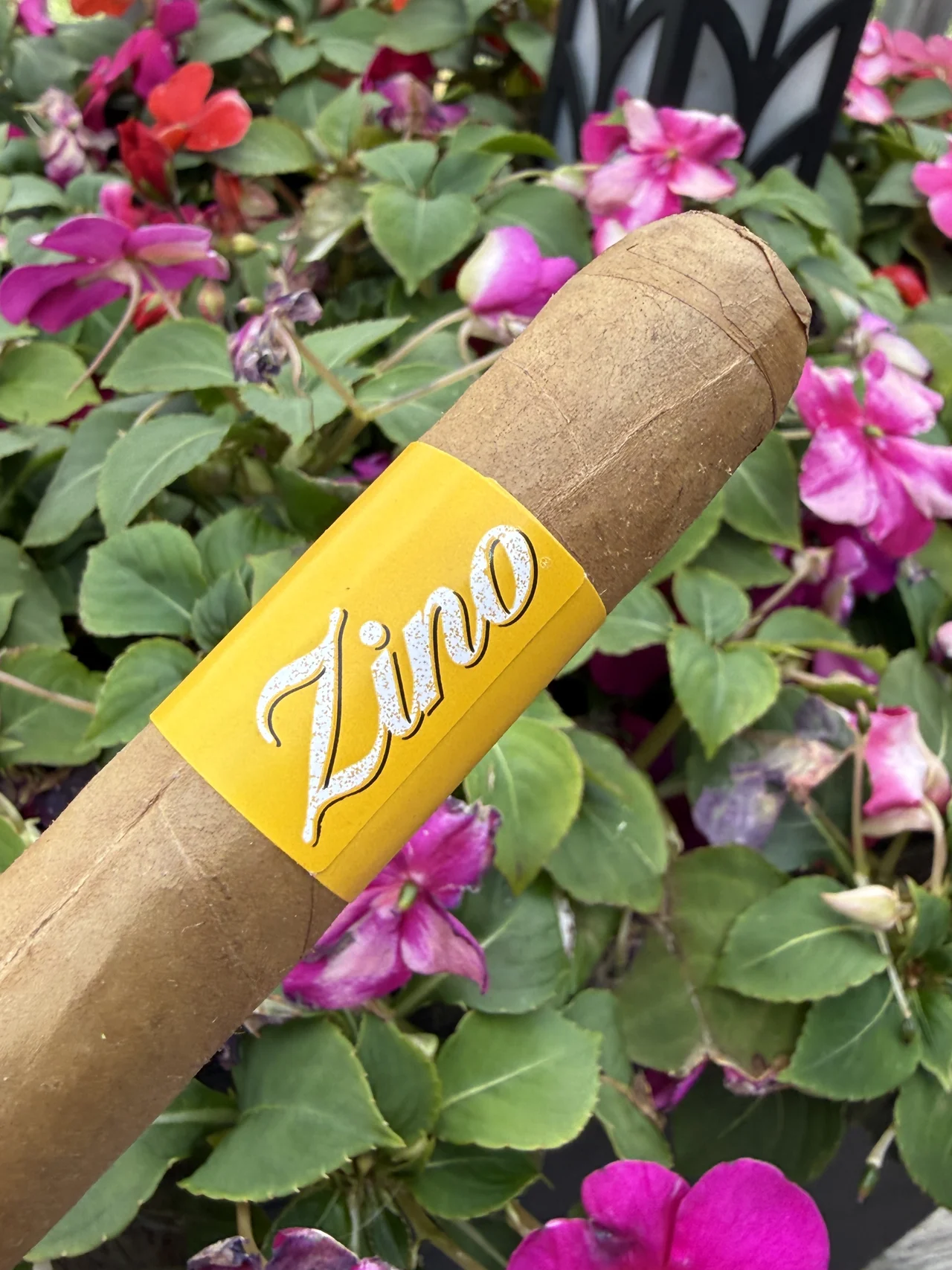 ZINO NICARAGUA TORO 6×50 resting on the porch by the spring flowers, its marigold-yellow Zino band in view