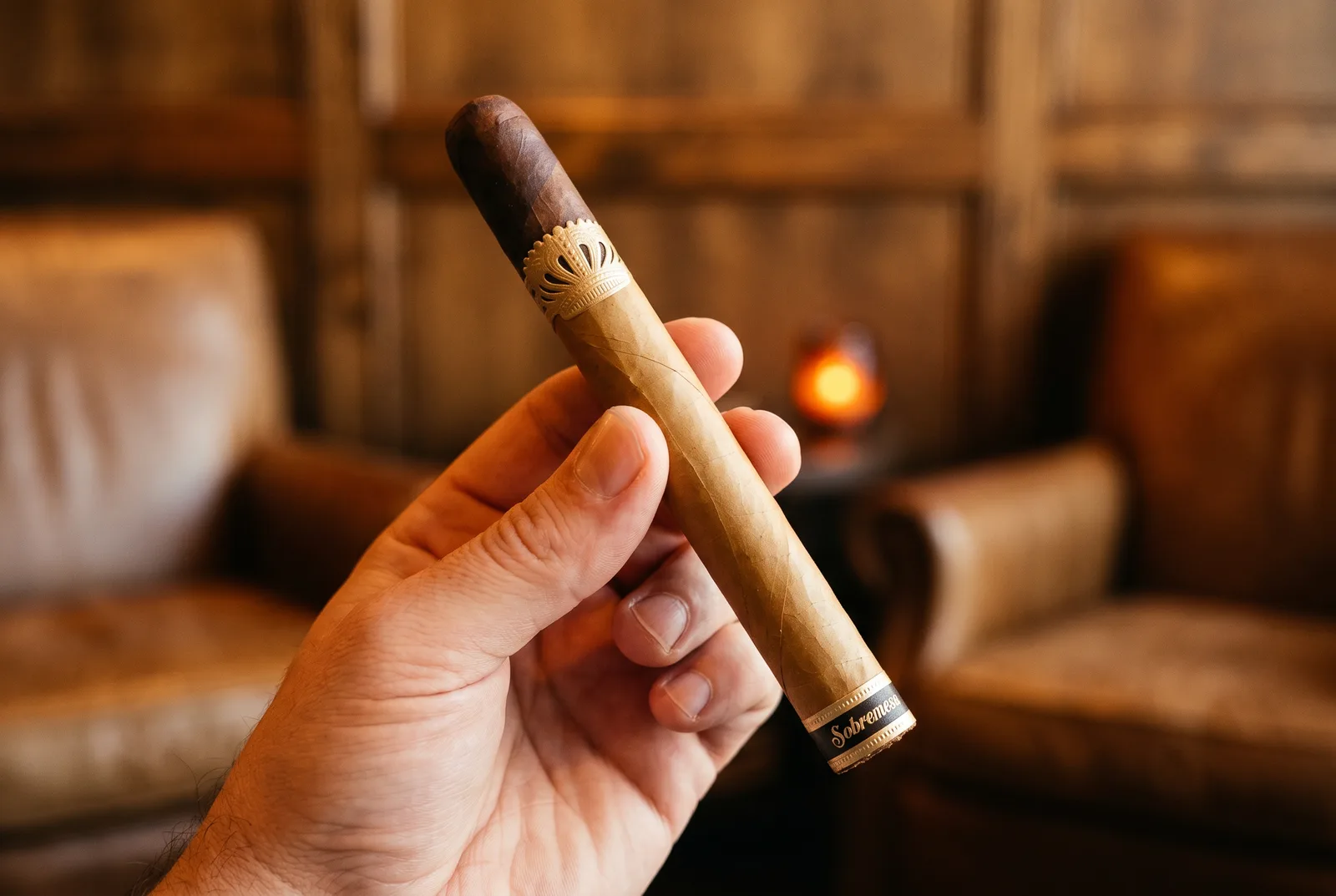 Hand holding an unlit Sobremesa Tapa Negra showing the gold crown band and dark sun-grown cap